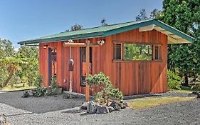 Cozy Volcano Studio With Phenomenal Rainforest Views
